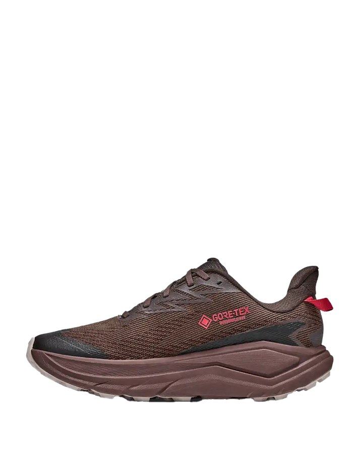 Challenger 8 GORE-TEX® Spiced Chocolate // Cast Iron