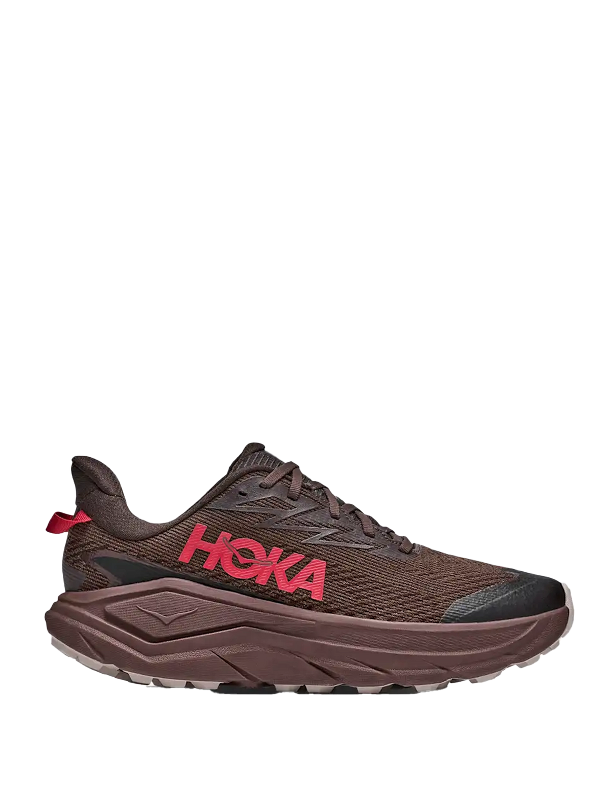 Challenger 8 GORE-TEX® Spiced Chocolate // Cast Iron