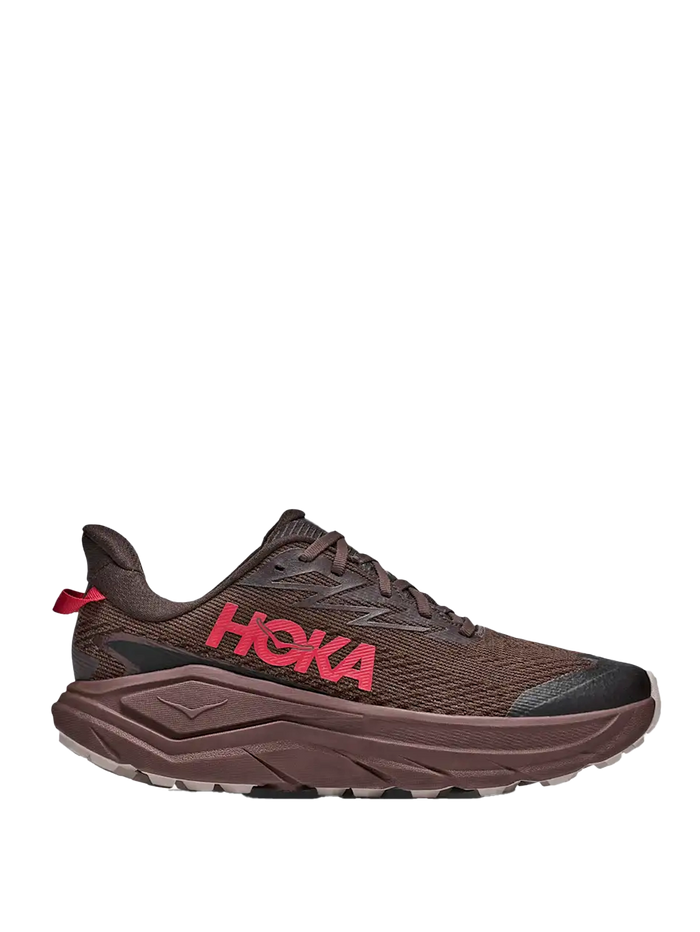 Challenger 8 GORE-TEX® Spiced Chocolate // Cast Iron