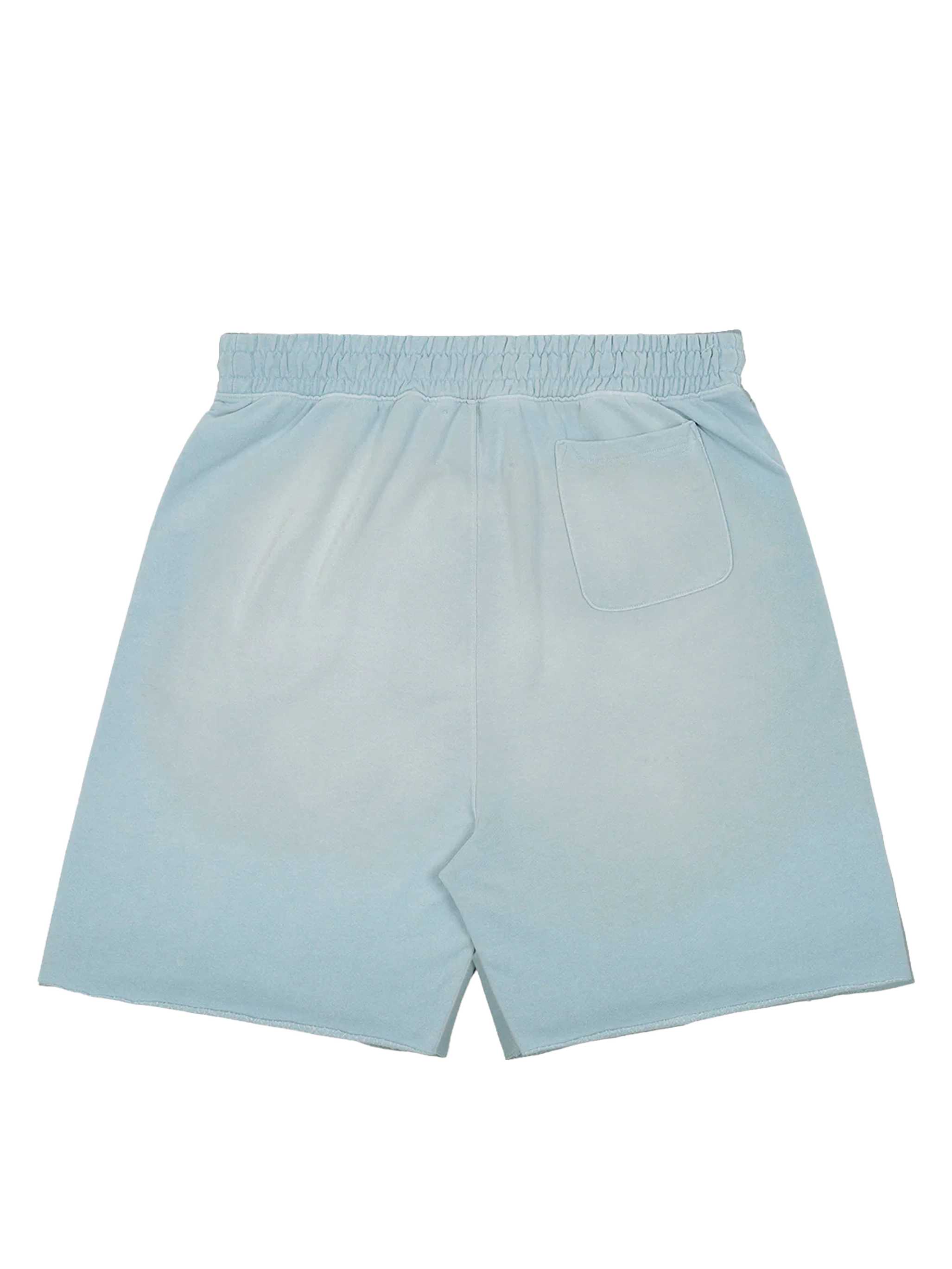 Bobby Driscoll Sweat Shorts in Baby Blue