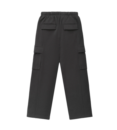 Cargo Field Pant Iron Grey