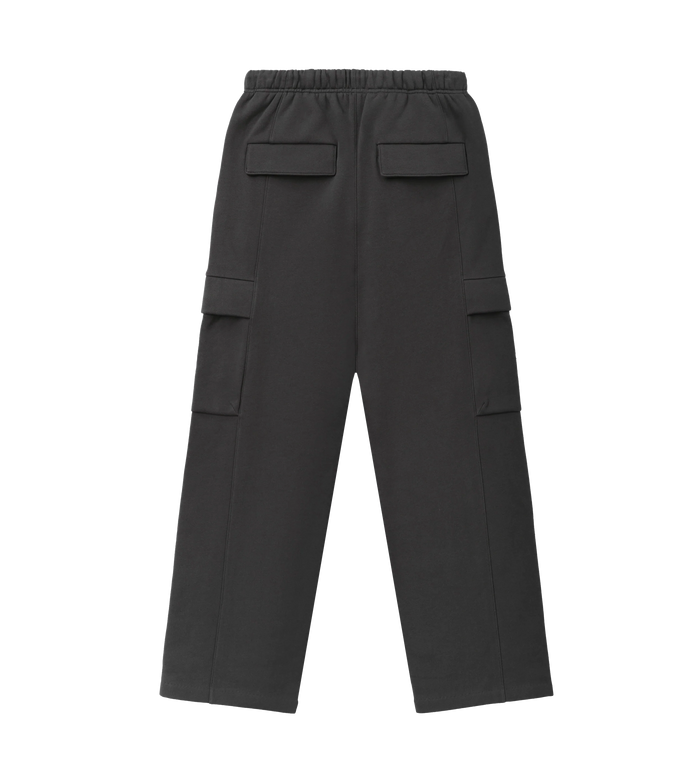 Cargo Field Pant Iron Grey