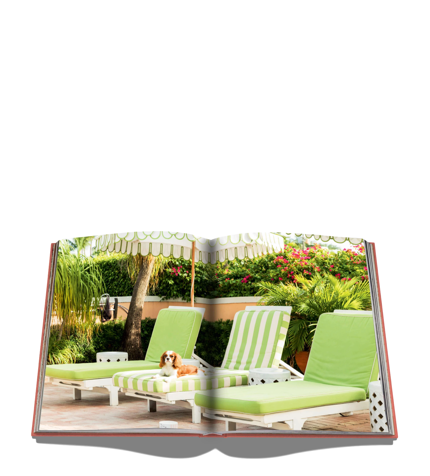 Assouline Palm Beach